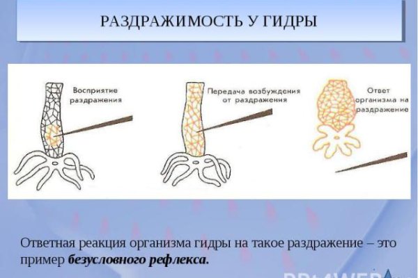 Как зайти на кракен через тор