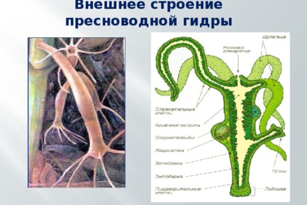 Кракен даркнет войти