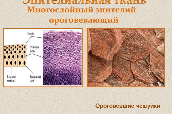 Кракен это современный маркетплейс